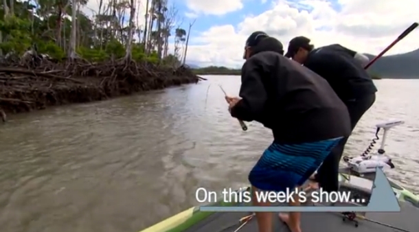 Over 20,000 trout cod were recently released into the Macquarie River at three locations downstream of Bathurst.